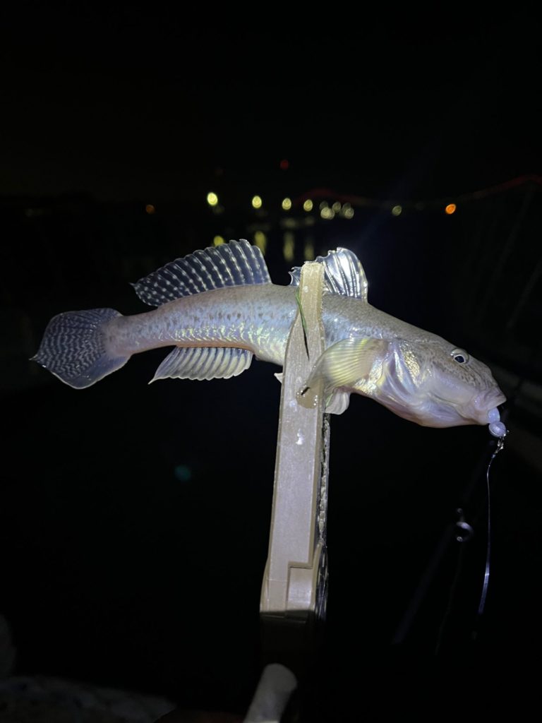 IMG_3525-768x1024.jpeg