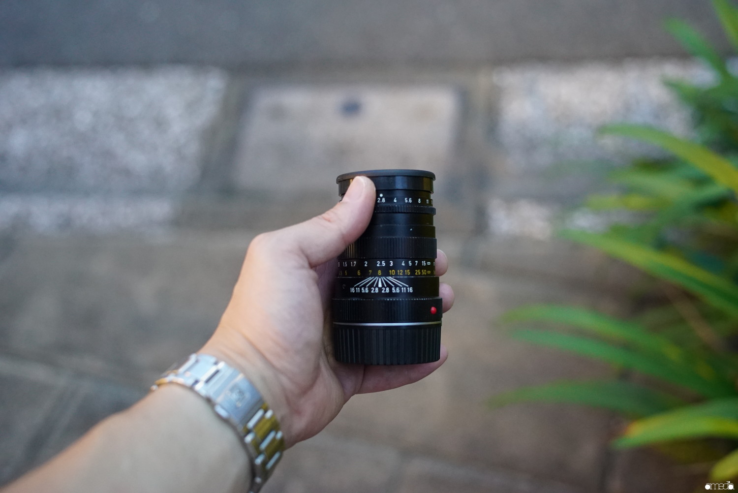 作例】LEICAテレエルマリート90mmF2.8 後期をレビュー | コンパクトな