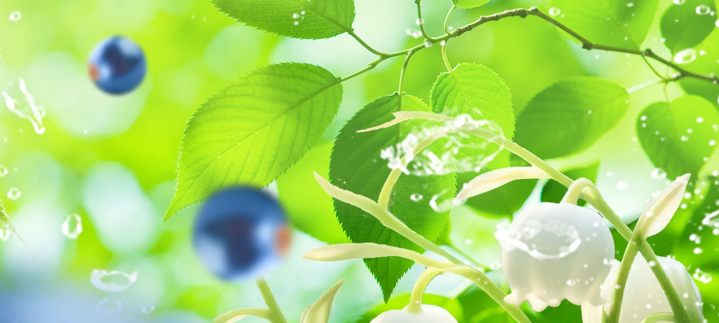 ME / Medicated Care | ALORB