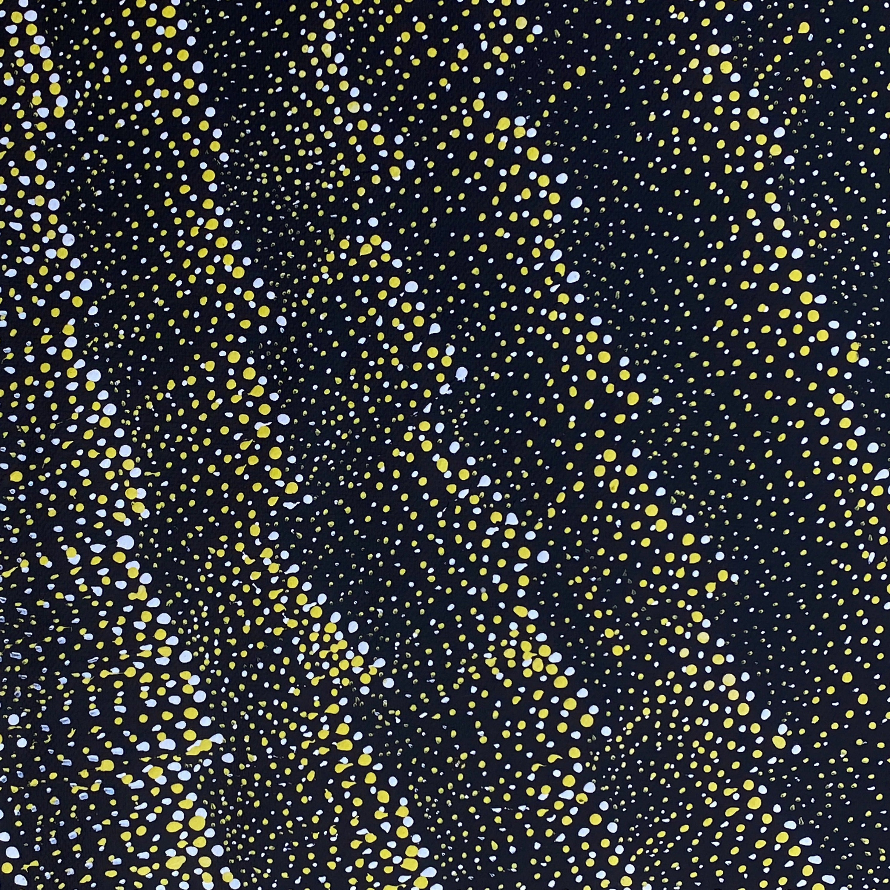 LILY KELLY NAPANGARDI – Altyerre Aboriginal Art
