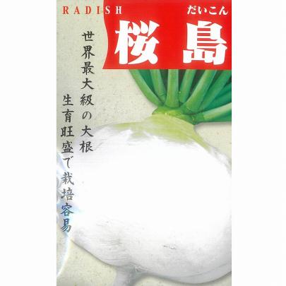 ダイコン】桜島大根〔固定種0050〕 | 野菜・草花の種苗の通販は【太田
