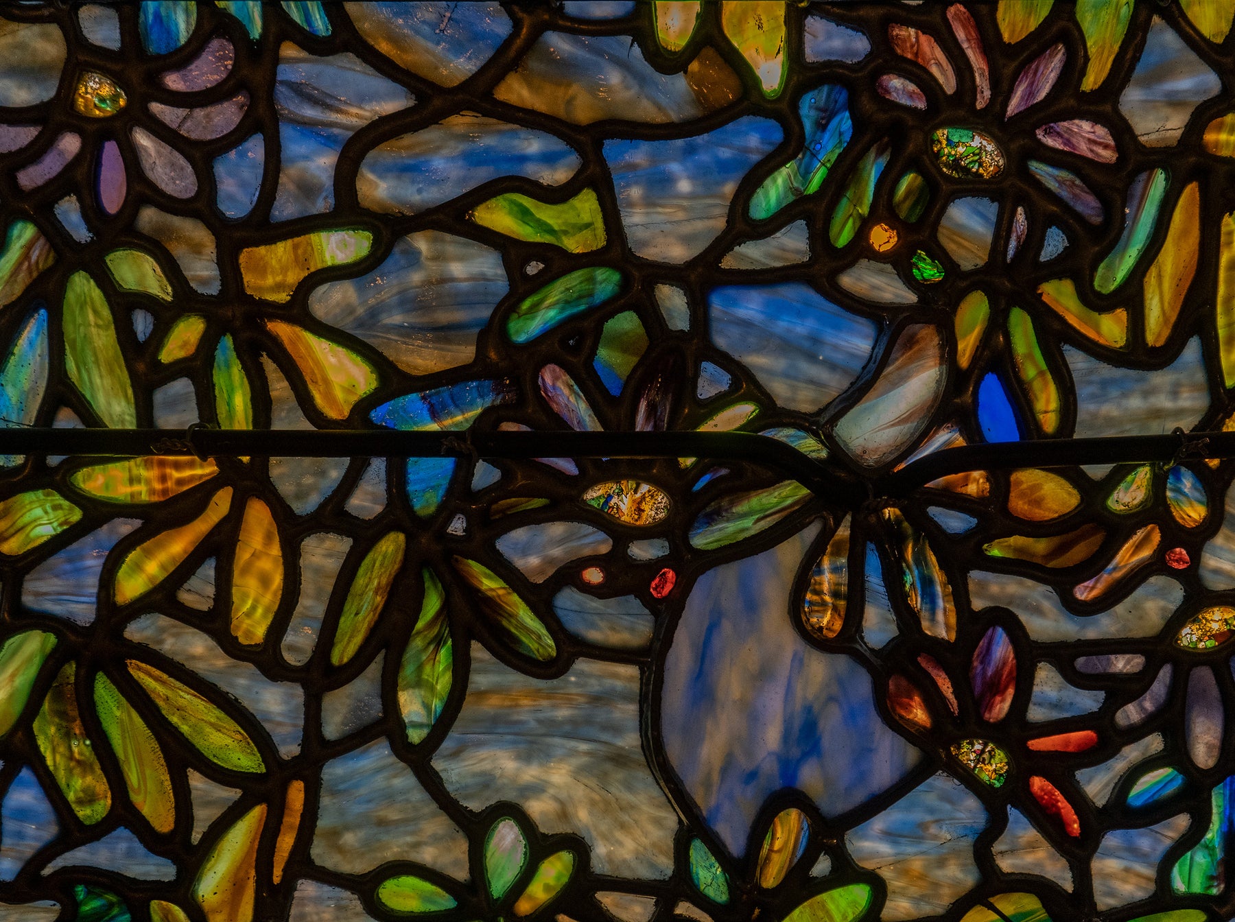 DSC00376_1800x1800.jpg?v=