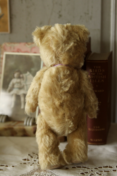 アンティークベア イギリス グラスアイ 20180718 【Antiques Truffle