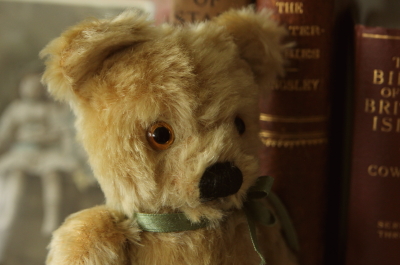 アンティークベア イギリス グラスアイ 20180718 【Antiques Truffle