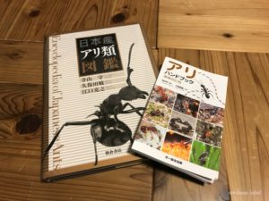 アリの図鑑でオススメの蟻書籍3選【2024年版】 | あんつべ｜アリ飼育