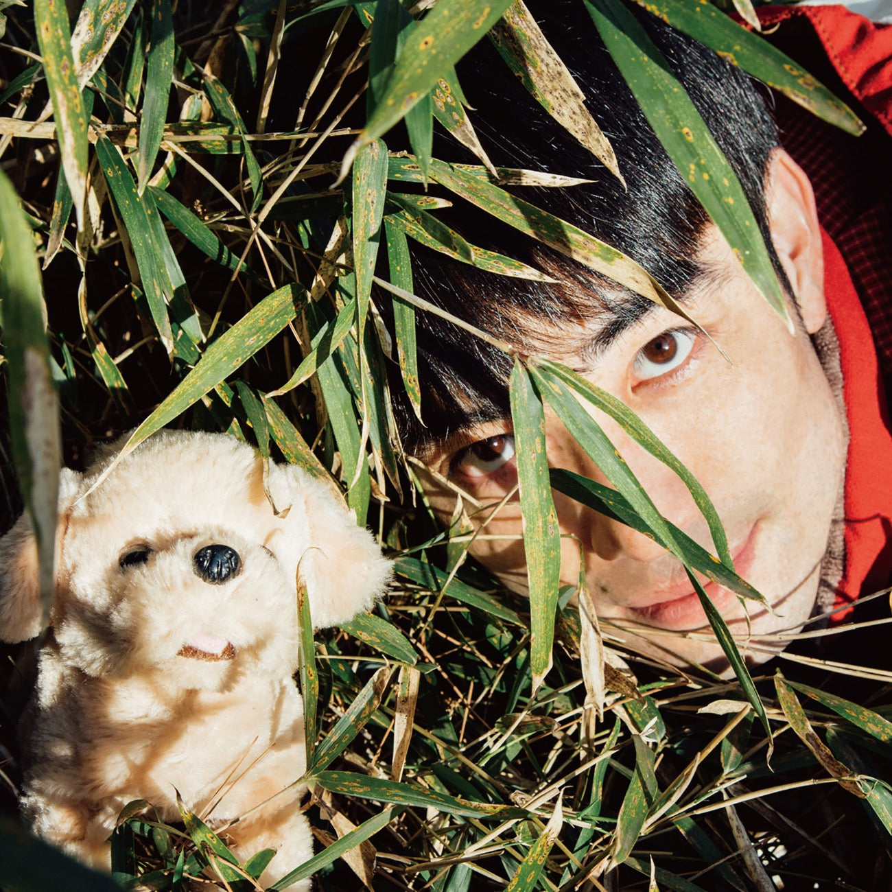 横沢俊一郎『絶対大丈夫』CD