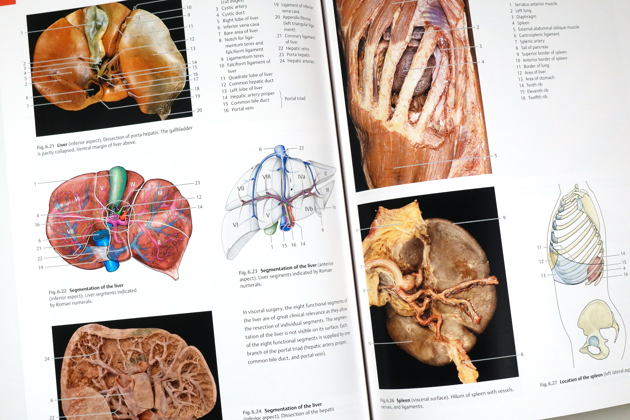 Photographic Atlas of Anatomy, 9E / Anatomy 今日も明日も