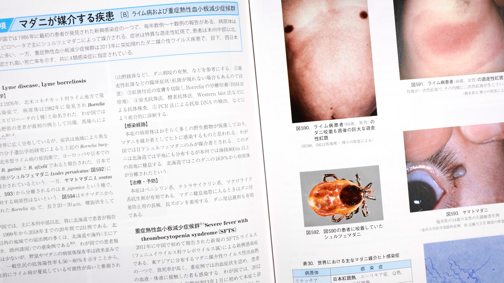 寄生虫を守りたい ／ 図説人体寄生虫学 第10版 / Anatomy 今日も明日も