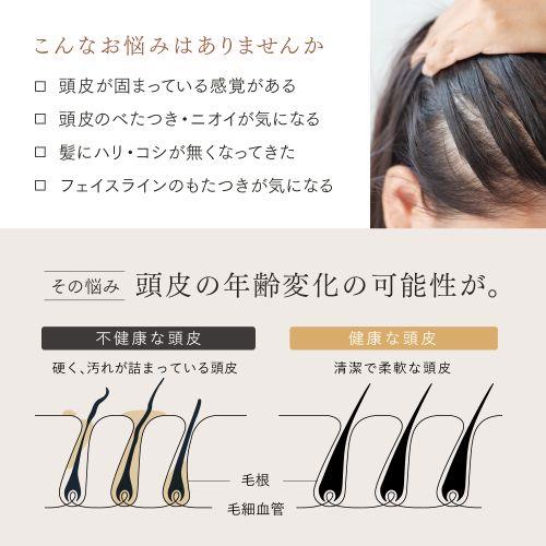 マイトレックス(MYTREX) MT-HSDX-24-B-B ブラック MYTREX HEAD SPA