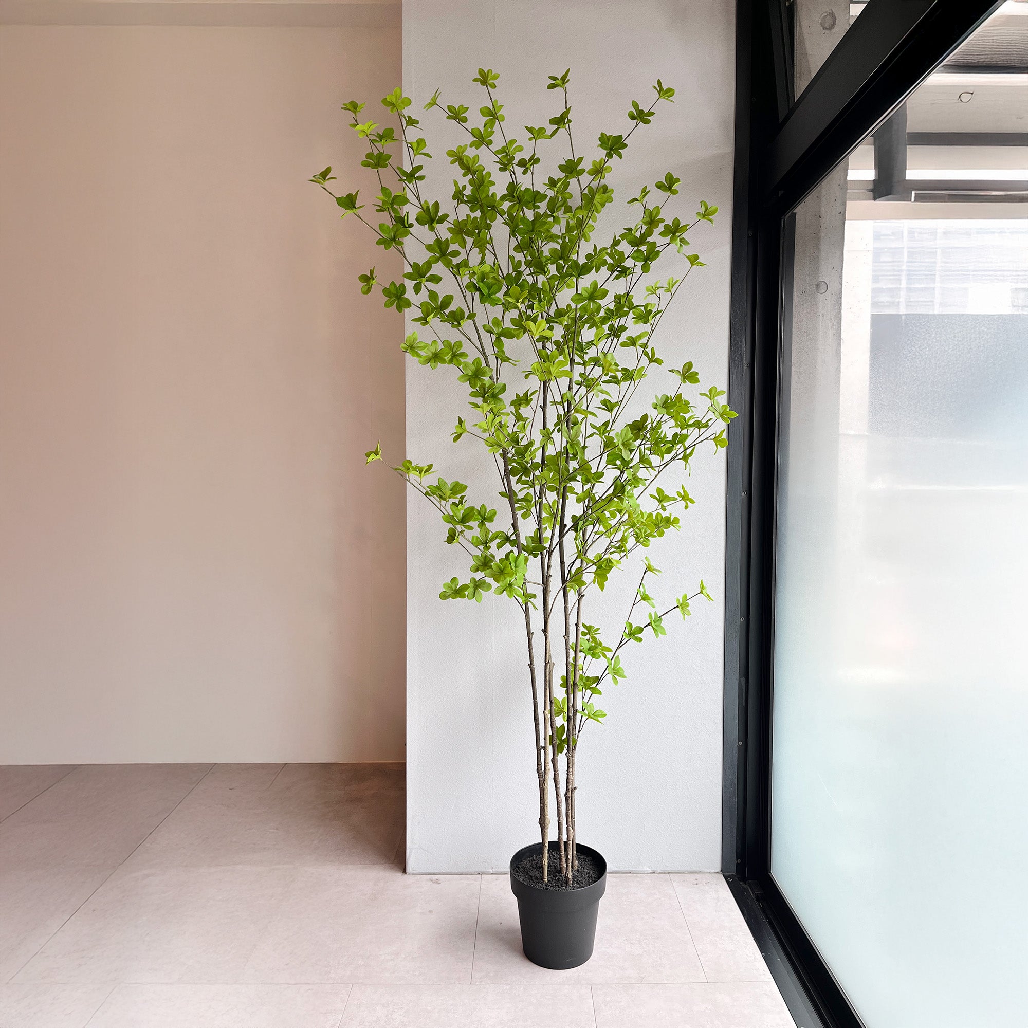 ドウダンツツジ 180cm- フェイクグリーン専用通販サイト – フェイク