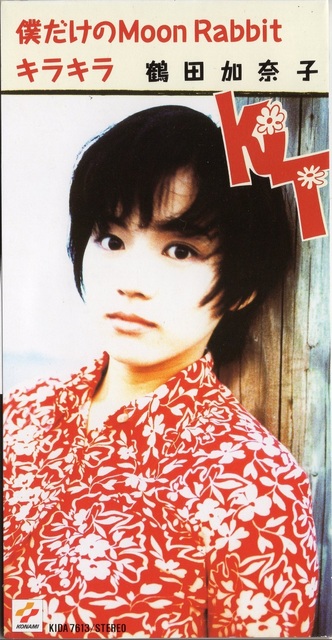 TEDN-304 i hate you remix／田中勝己 #8cmCD: 8cmアニソンCDを懐古する。