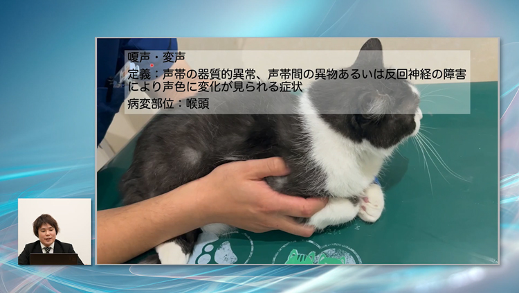 診断率UP！猫の呼吸器疾患～画像診断術～ | 株式会社 医療情報研究所