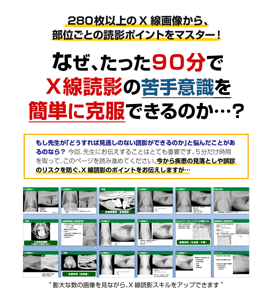 理論から実践まで！X線画像読影指南 | 株式会社 医療情報研究所