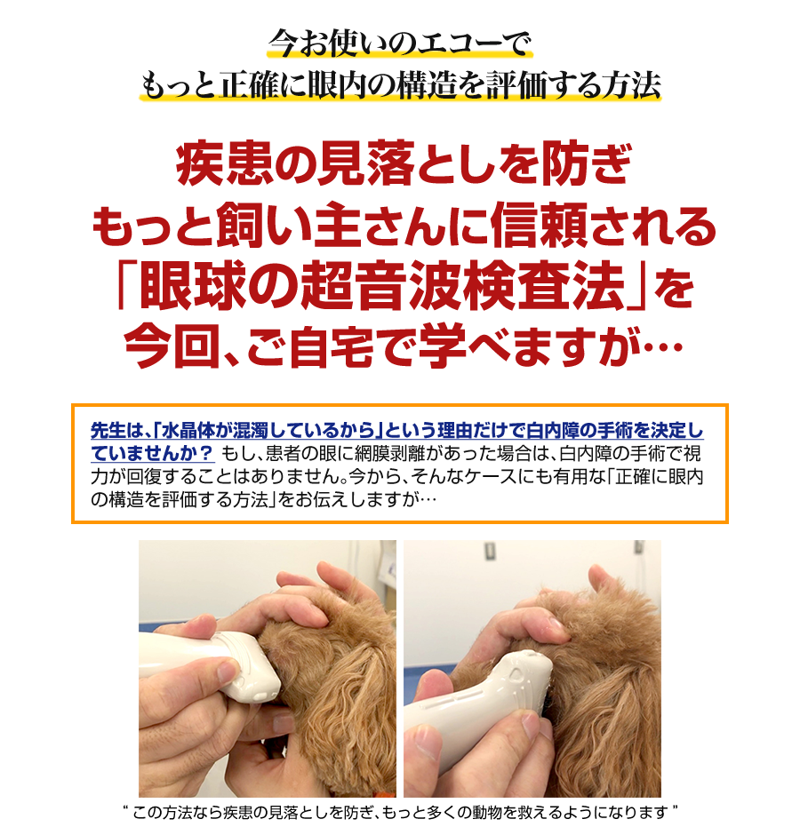 病態の把握と診断に役立つ眼科超音波検査 | 株式会社 医療情報研究所