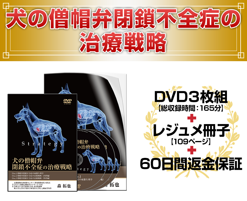 犬の僧帽弁閉鎖不全症の治療戦略 | 株式会社 医療情報研究所