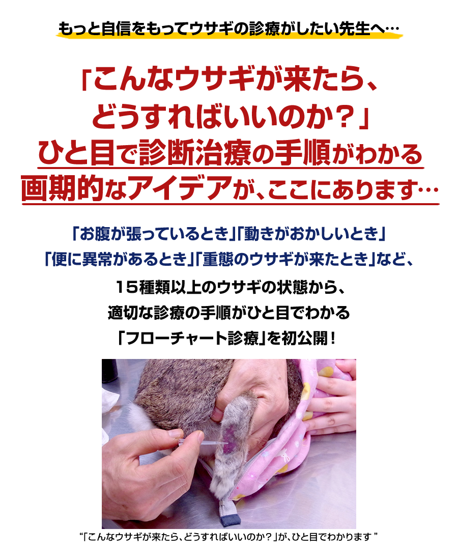 今日からできる！ ウサギのわかりやすい診断治療のテクニック | 株式