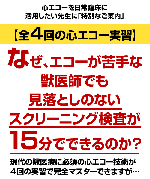 今日から始める”心エコー図検査 ～健康診断から循環器精査に活用できる