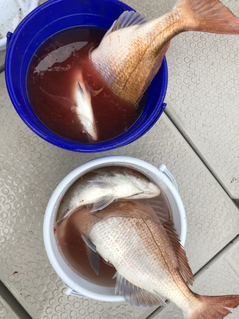 タイラバロッド紅牙EX N65LB TG(THRILL GAME)インプレ | ASAHI the