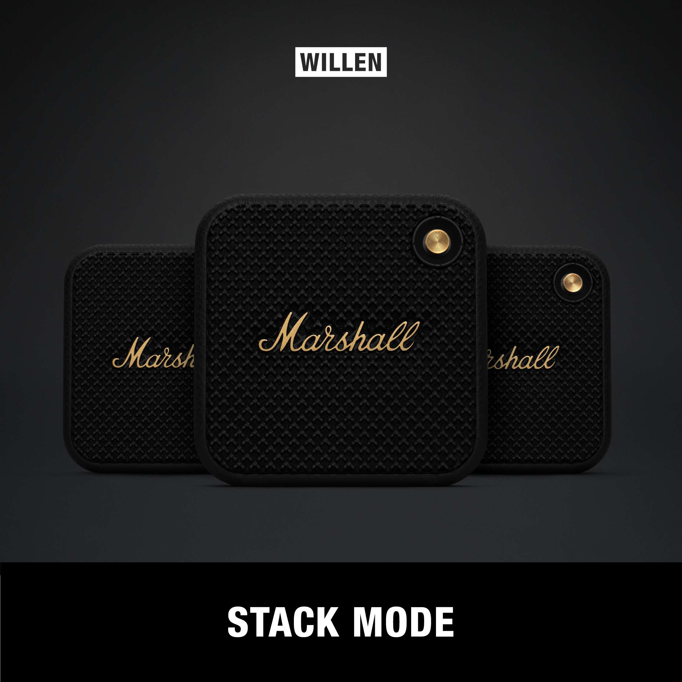 MARSHALL WILLEN - Ash Asia