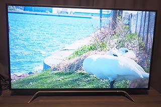 レビュー】自宅テレビを4Kに。今すぐ観られる4Kを「REGZA 50Z20X」で