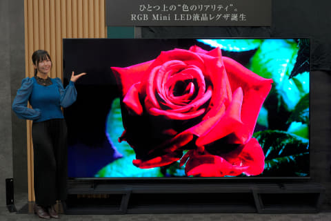 レグザ、RGBミニLEDテレビ「ZX1」を12月発売。116型で約660万円 - AV Watch
