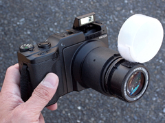 切り貼りデジカメ実験室：リコーGXRの「P10 28-300mm」を“高倍率マクロ