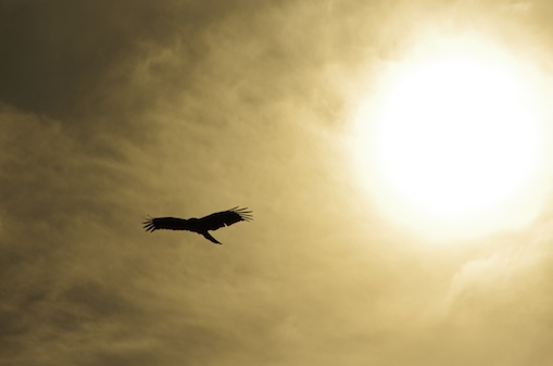 交換レンズ実写ギャラリー：ペンタックス「DA 18-135mm F3.5-5.6 ED AL