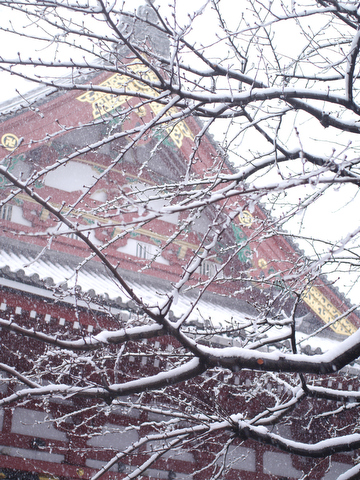 交換レンズ実写ギャラリー：SIGMA 30mm F2.8 EX DN - デジカメ Watch