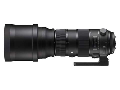 シグマ、150-600mm F5-6.3とテレコンバーターのキット - デジカメ