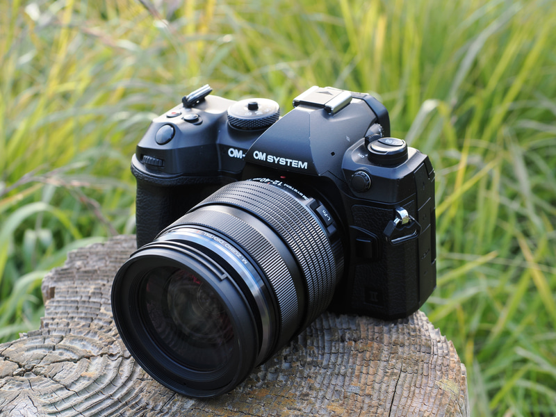 私はこれを買いました！：花撮影での標準ズームレンズ、どっちを選ぶ