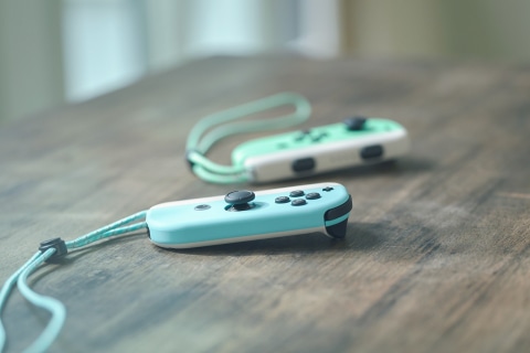 あつまれ どうぶつの森」のJoy-Con・ドックがついに予約受付スタート