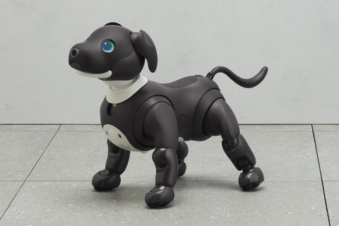 ソニー、ペットロボット「aibo」の新色・エスプレッソエディションを