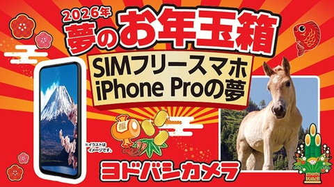ヨドバシ福袋「2026年 夢のお年玉箱」抽選受付は本日11時59分まで