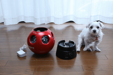 家電製品ミニレビュー】子どもやペットがいても安心して使える「創風機