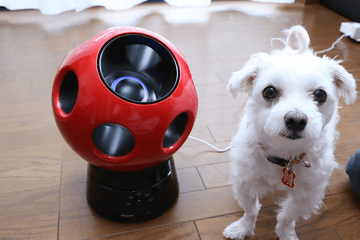 家電製品ミニレビュー】子どもやペットがいても安心して使える「創風機