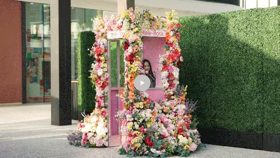 Blossom Bea Beige Bunny (Small) in Independence MO - Alissa's