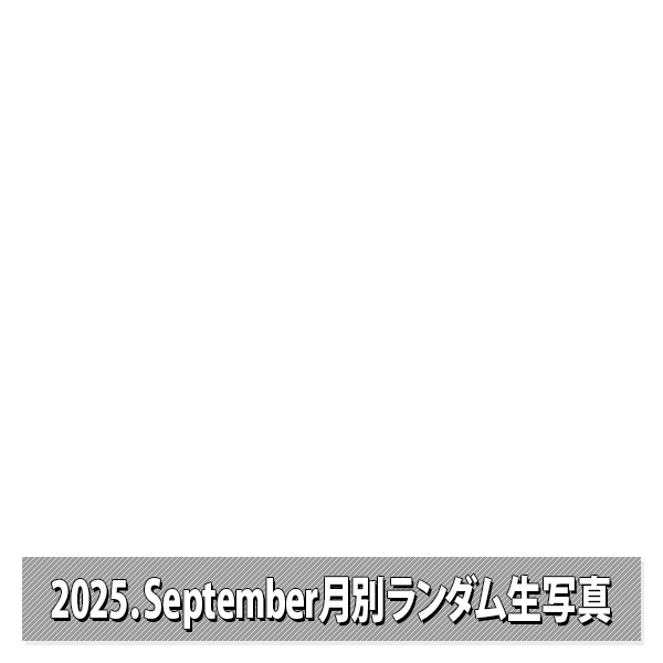 NMB48 OFFICIAL GOODS STORE