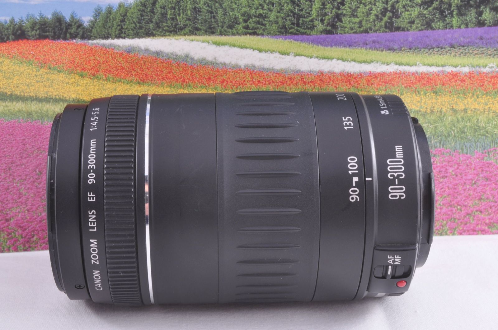 Canon EF 90-300mm F4.5-5.6 望遠ズームレンズ EOS一眼レフ対応 フード