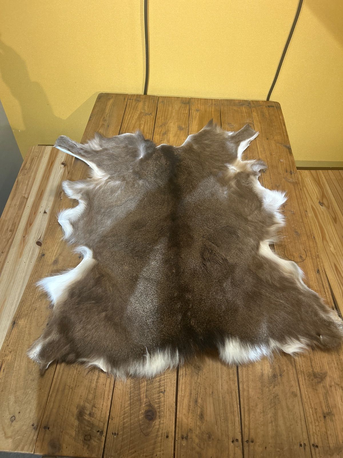 鹿の毛皮 ラグ敷物 毛革 鹿革 鹿14 ブッシュクラフト 野営 キャンプ