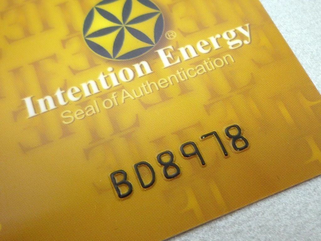 参考49500円 Intention Energy インテンションエナジー ナノバイブ