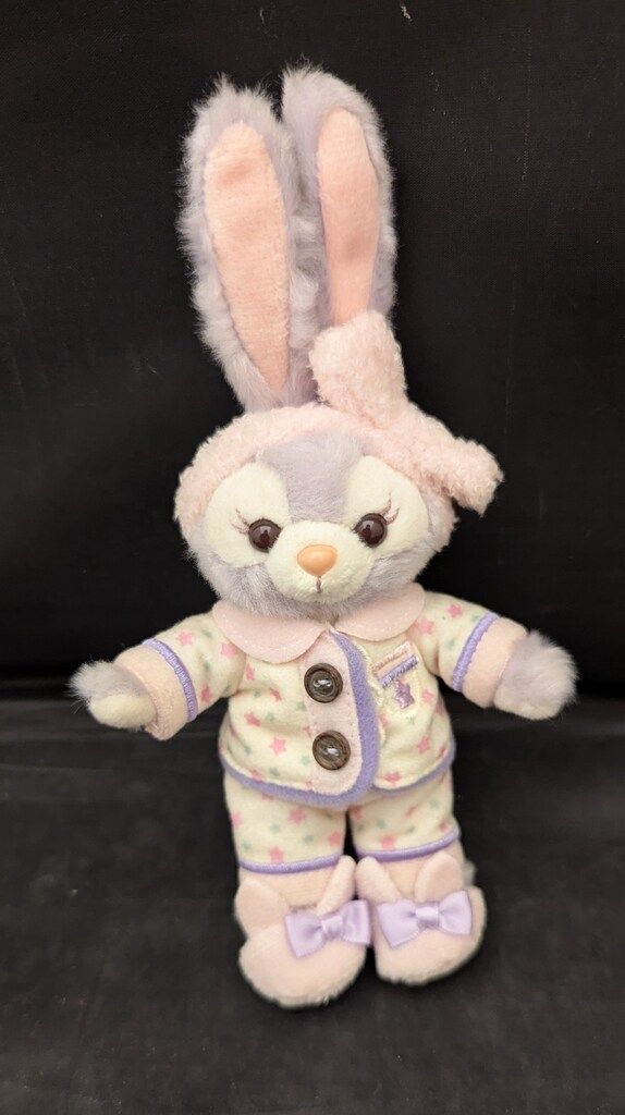 ダッフィー＆フレンズ オータムスリープオーバー ぬいぐるみバッジ