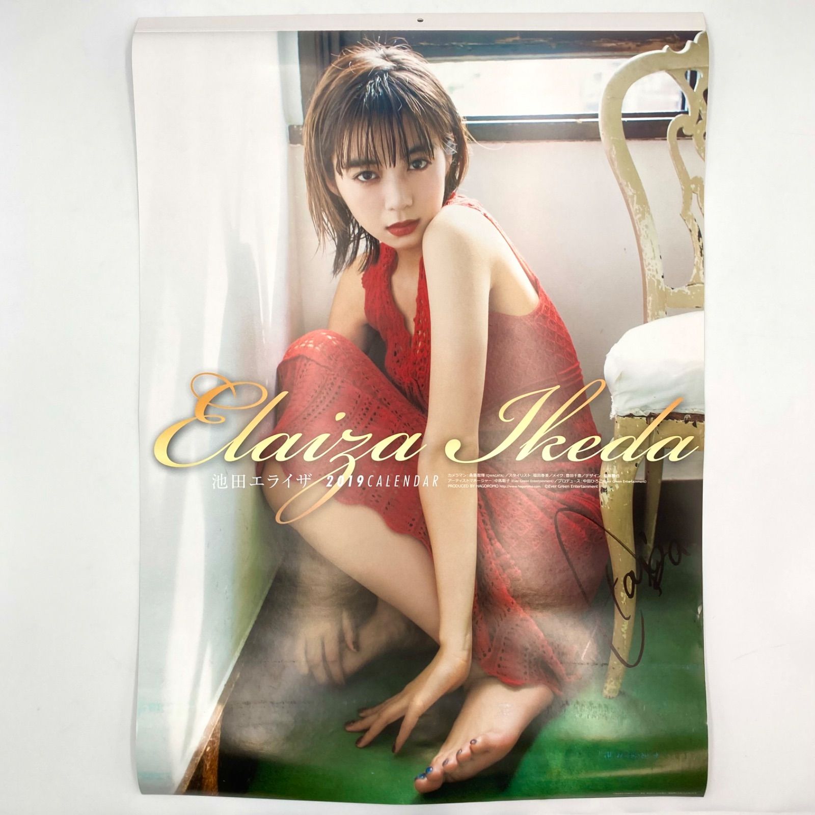 激レア【新品】池田エライザ 2019 カレンダー ポスター サイン入り B2
