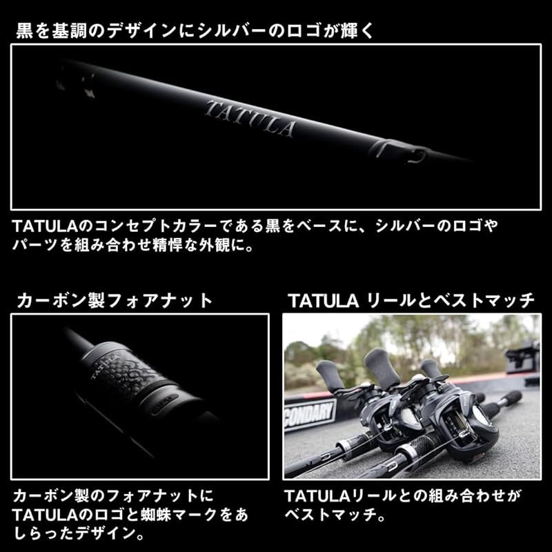 美品 ダイワ TATULA TW 100H バスロッド タトューラ セット DAIWA