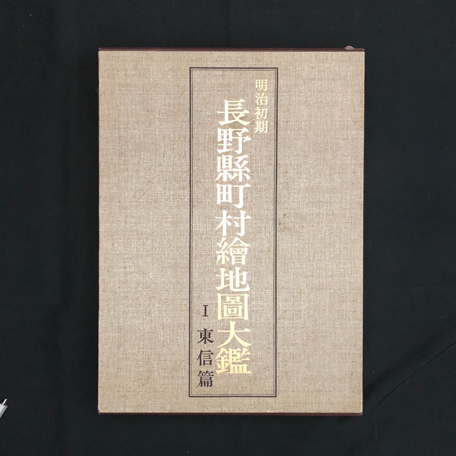 明治初期長野県町村絵地図大鑑 1 東信篇 滝沢主税 編 郷土出版社 1985