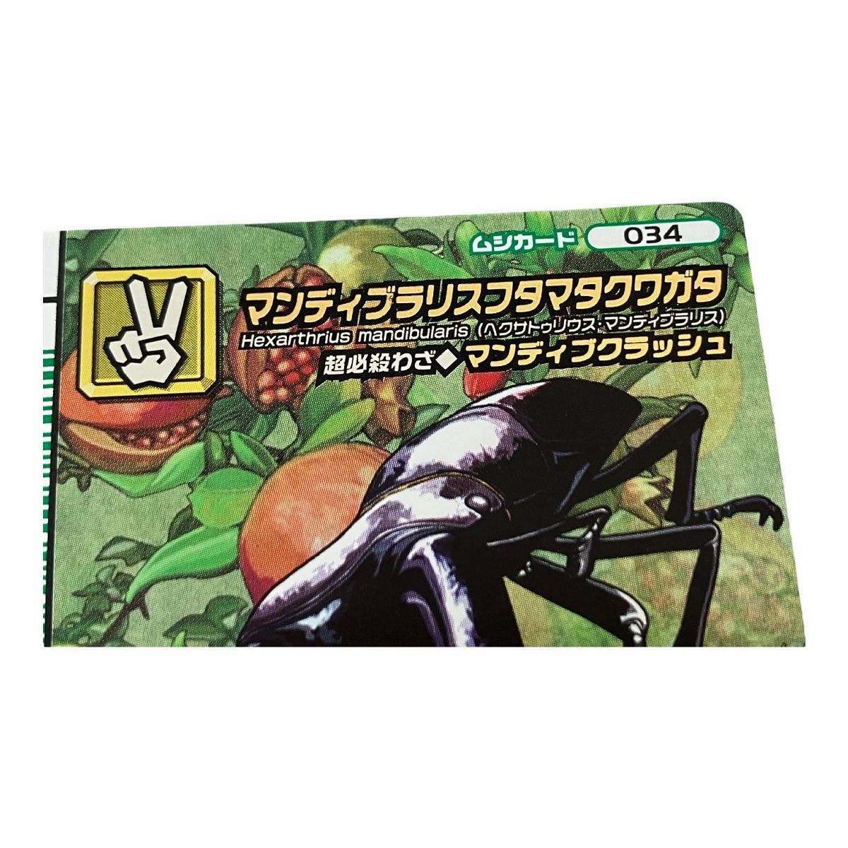 SEGA 甲虫王者 ムシキング 5周年コレクションカード 第2弾 034