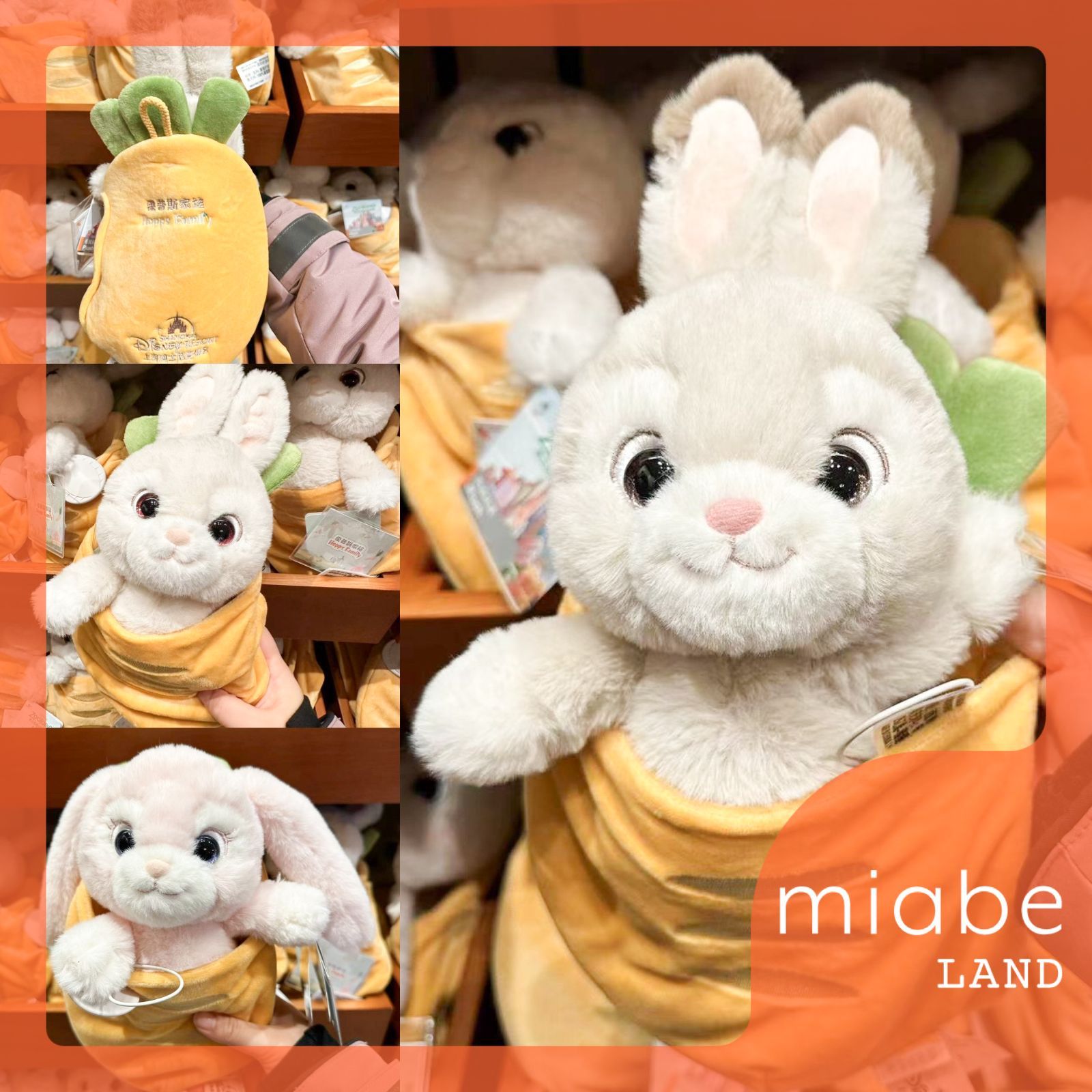 Group B｜10~15営業日国内倉庫発送｜上海ディズニー公式グッズ専門