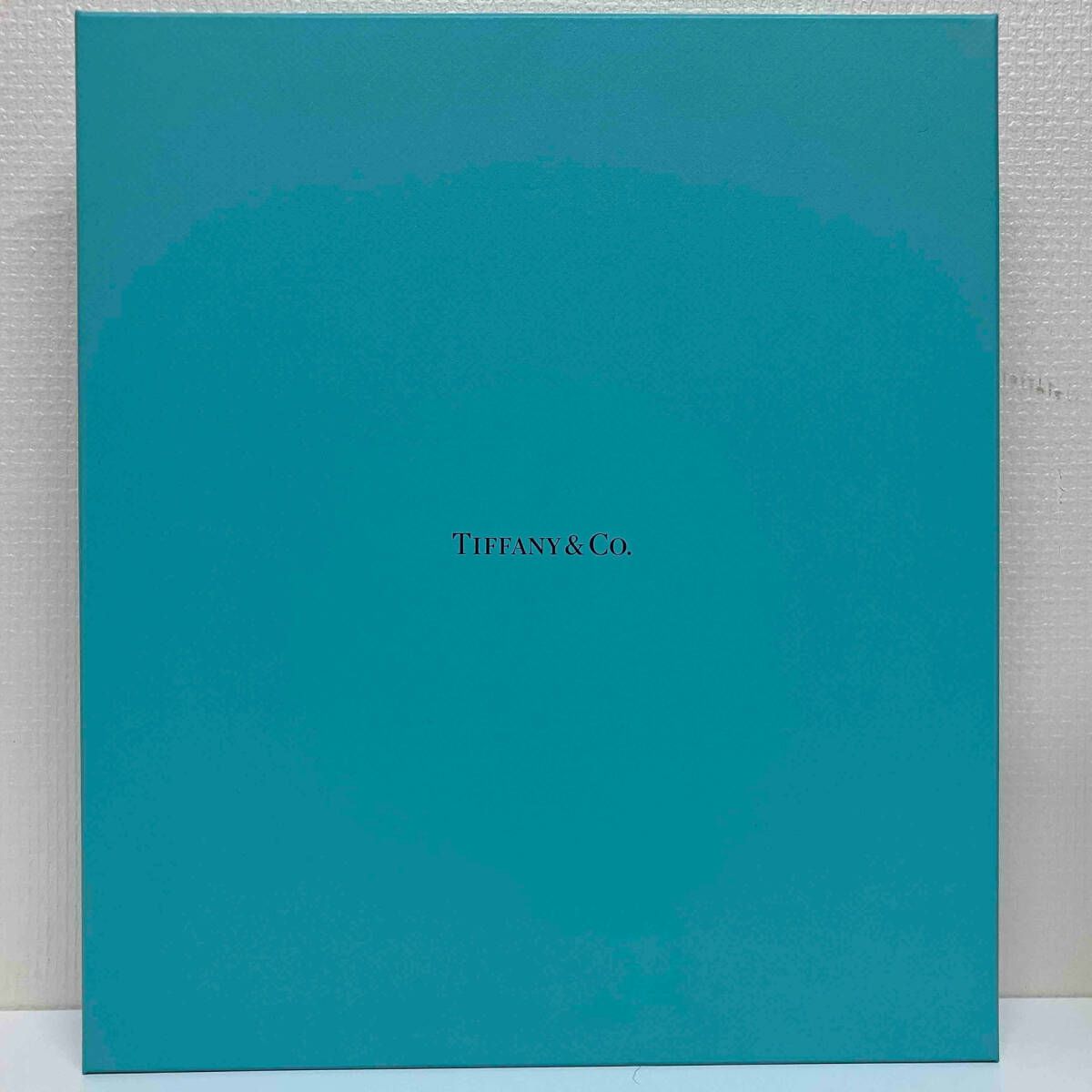 未使用品】Tiffay Wonder Tokyo April 2024 ティファニー ワンダー展