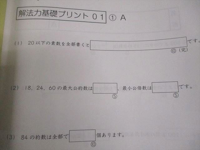 SAPIX サピックス 小6 算数 SS特訓 Sunday SapiX 解法力01～14 全14回