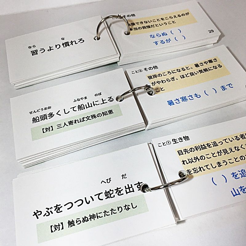 ☆【065】中学受験国語 ことわざの暗記カード 中学入試 サピックス