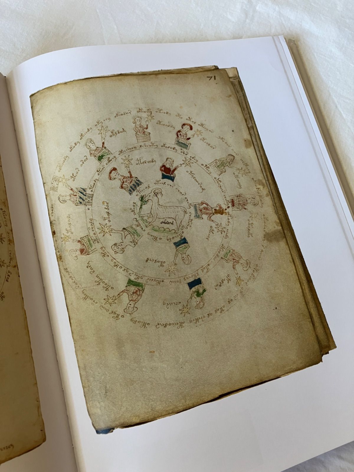 ヴォイニッチ手稿 ファクシミリ版 the voynich manuscript - メルカリ